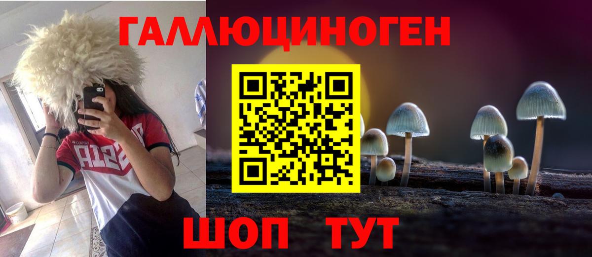 Галлюциногенные грибы Psilocybe  Вход с VPN  Уссурийск 